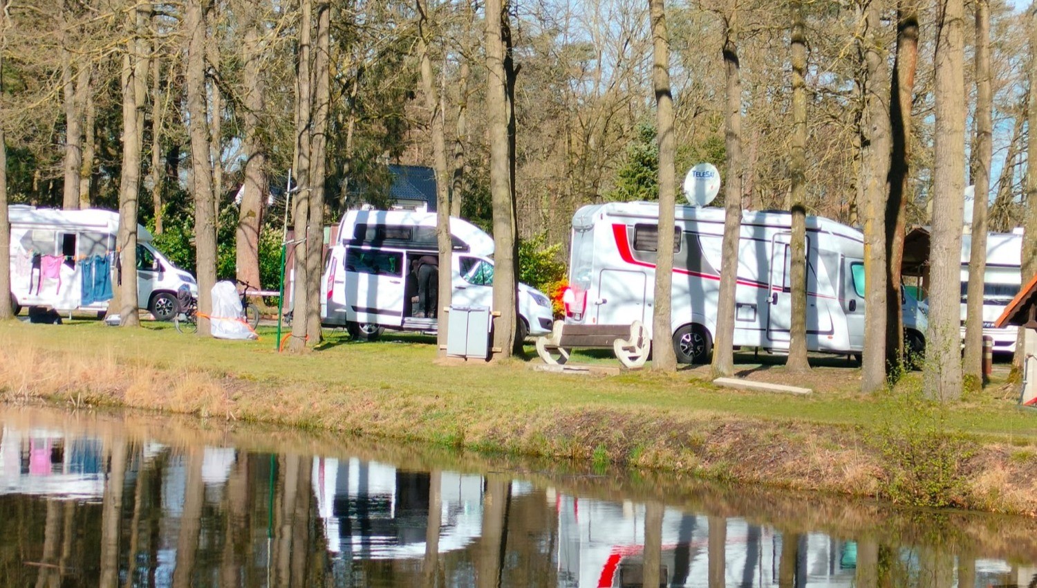 Het Swinnenbos — photo 8